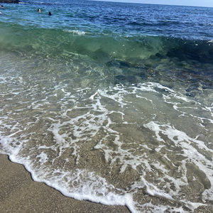 Meet your Posher, Carley